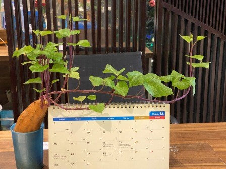 Top 5 beaches near Hanoi for a quick getaway