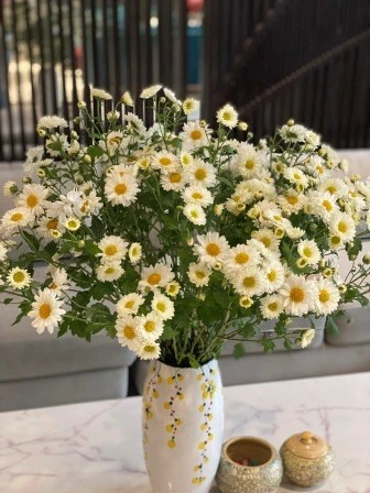 Staying near the National Convention Center vs commuting from the Old Quarter: which is better for events?