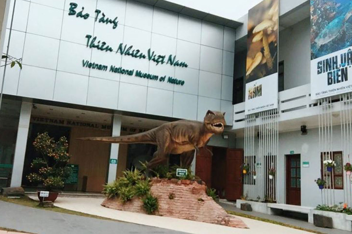 하노이 Cau Giay 지구의 베트남 자연 박물관 정보