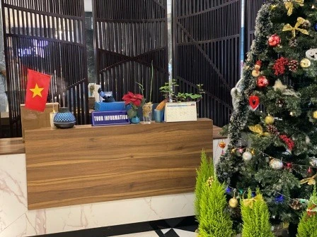 Uber/Grab vs traditional taxis in Hanoi: a practical comparison