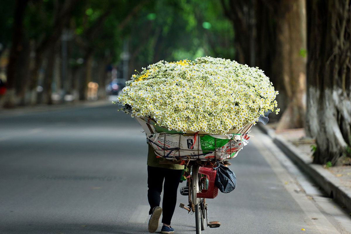 街の中心にある花でいっぱいの自転車でハノイの秋を感じてください