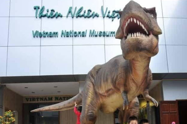 베트남 자연 박물관은 어디에 있습니까?