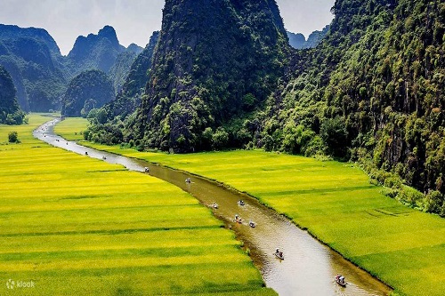 HOA LU - TAM COC 1 DAY ONLY $45
