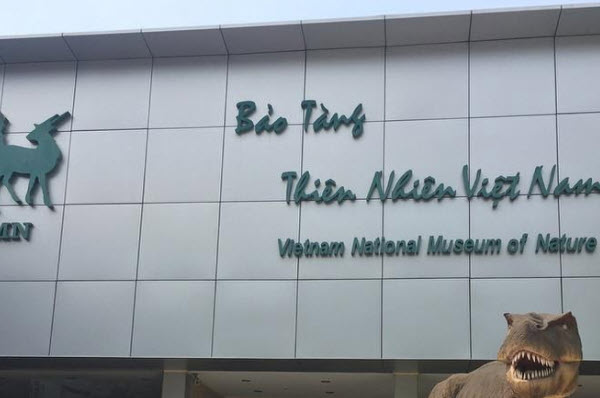 Vietnam Museum of Nature Tourism - Cau Giay District