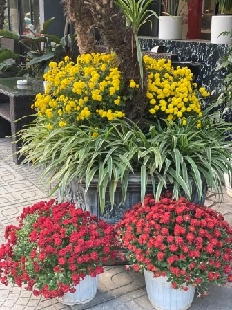 Three generations in Hanoi: our family story at Ping Hotel