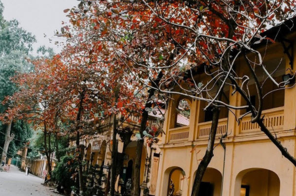 What's so beautiful about Hanoi Old Quarter?