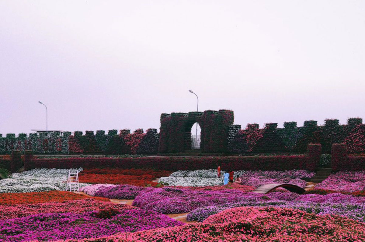 Make a quick check-in map The West Lake flower valley is in full bloom