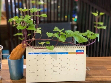 Top 5 golf courses near Hanoi for business travelers