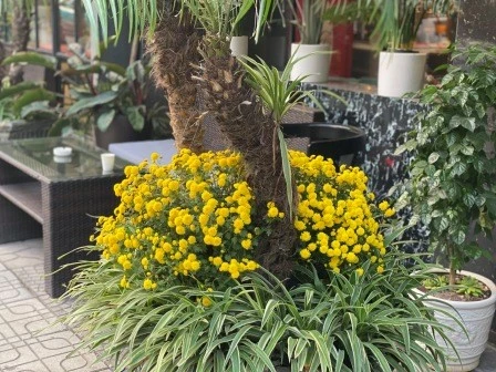 Hanoi hidden experiences: low-key ideas many tourists miss